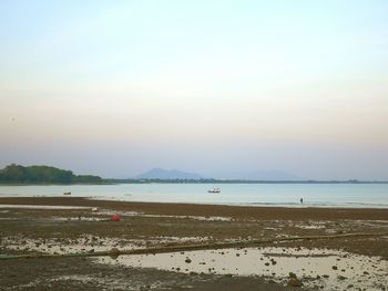 Scenic view of beach against clear sky