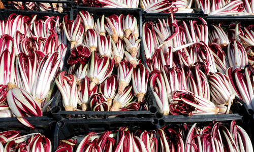 Full frame shot of vegetables for sale in market