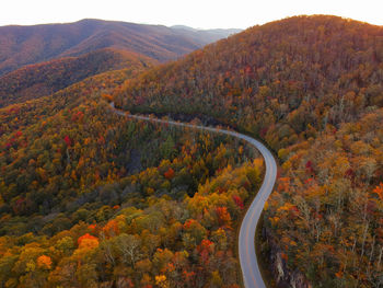 High angle view of road amidst trees during autumn