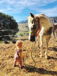 Full length of a horse standing on field