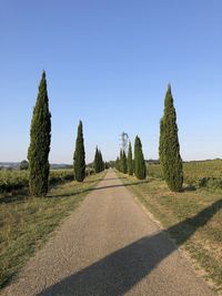 Road amidst trees against clear blue sky