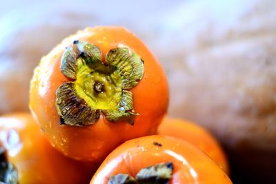 Close-up of orange fruits on table