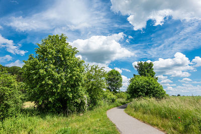 Road amidst trees on field against sky