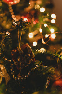 Close-up of christmas tree