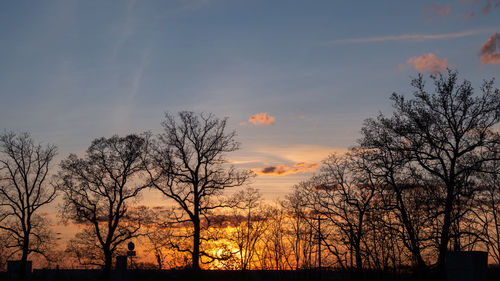 Silhouette bare trees against sky during sunset