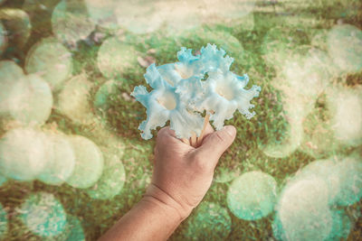 Close-up of hand holding flower