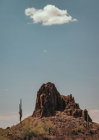 Saguaro cactus in arizona next to mountain with blue sky and white cloud.