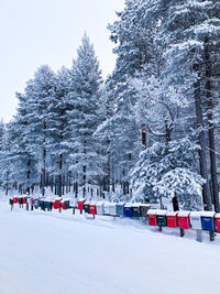 Snow covered land and trees against sky