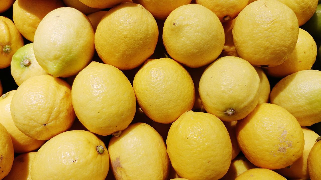 Citrus limon