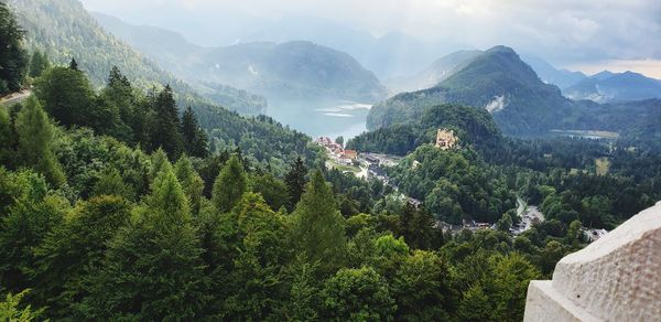 High angle view of trees and mountains