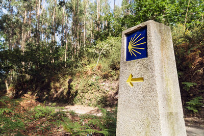 Information sign on road amidst trees in forest