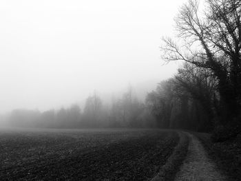 Trees on field against sky