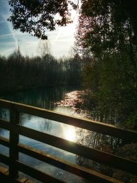 Reflection of trees in river