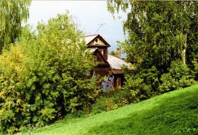 View of trees on landscape