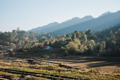 Scenic view of field against clear sky