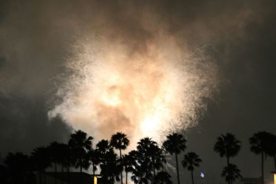 Low angle view of palm trees against cloudy sky