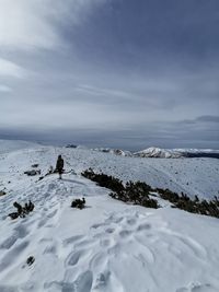 Scenic view of snow covered land against sky