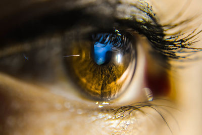 Close-up eye of person