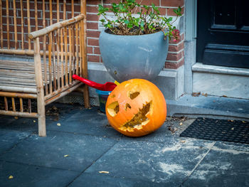 View of pumpkin on potted plant in yard