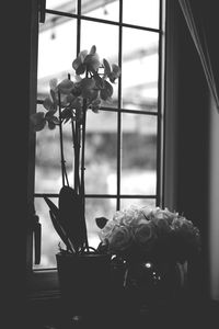 Close-up of flower on window