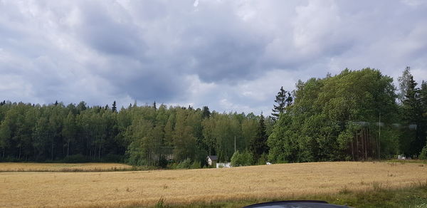 Panoramic shot of trees on field against sky