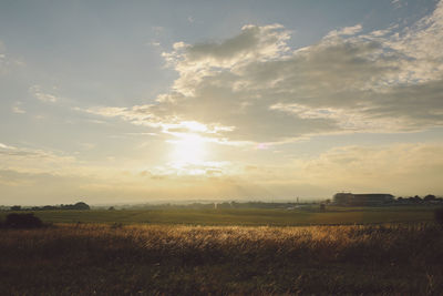 Scenic view of farm field at epsom downs racecourse against sky during sunset