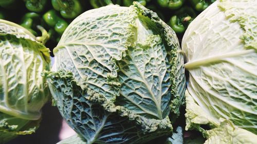 Close-up of cabbages at market