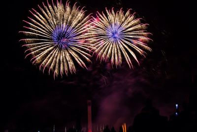 Fireworks exploding in night sky