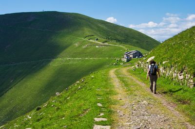 Rear view of women walking on landscape