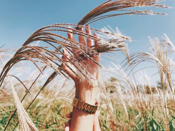 Cropped hand of woman touching plants on land