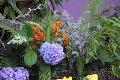 Close-up of purple flowers blooming outdoors