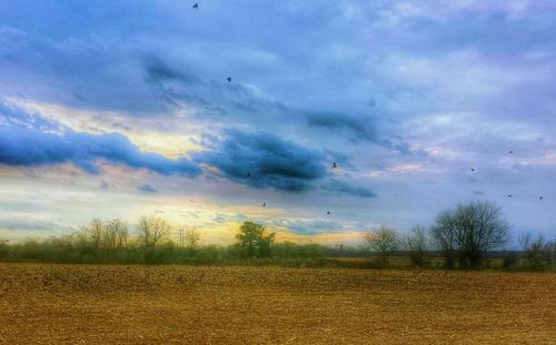 Scenic view of landscape against cloudy sky