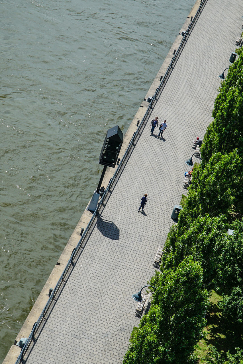 HIGH ANGLE VIEW OF PEOPLE WALKING ON PLANTS