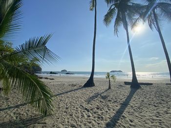 Palm trees on beach against sky