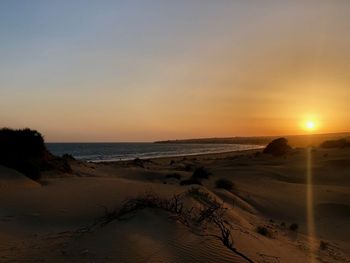 Scenic view of beach against sky during sunset