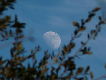 Low angle view of moon against sky