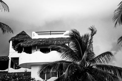 Low angle view of palm trees and building against sky