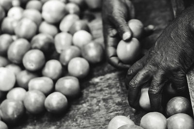 Close-up of person holding eggs