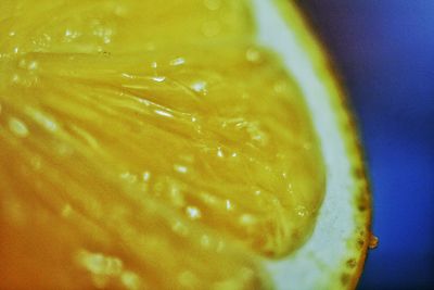 Close-up of lemon slice
