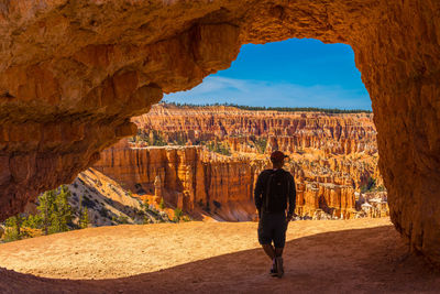 Rear view of hiker standing on rock