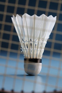 Close-up of shuttlecock and racket