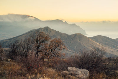Foggy morning in the crimean mountains.