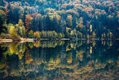 Scenic view of lake in forest during autumn