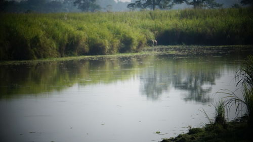 Scenic view of lake