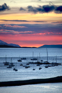 Sailboats moored in marina at sunset