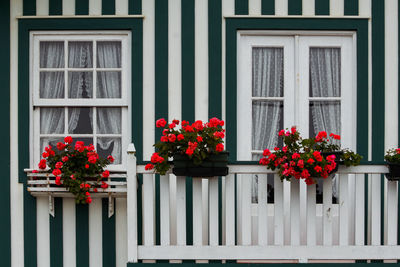 Typical colourful green houses with stipes in costa nova - aveiro against sky