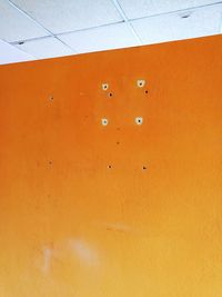 Close-up of orange wall