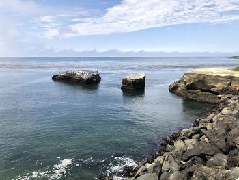 Scenic view of sea against sky