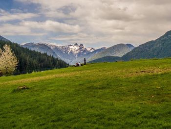 Scenic view of field against sky