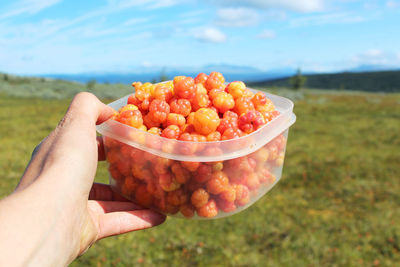 Cropped hand holding bowl with food over field against sky